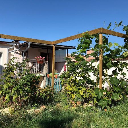 Ubytovani U Jerabku - Parkovani Zdarma Mikulov Exterior photo